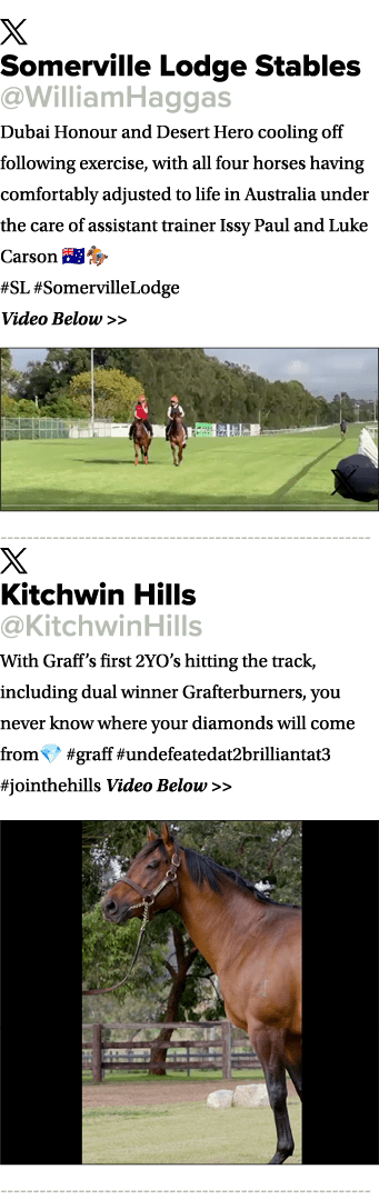 ￼ Somerville Lodge Stables @WilliamHaggas Dubai Honour and Desert Hero cooling off following exercise, with all four ...