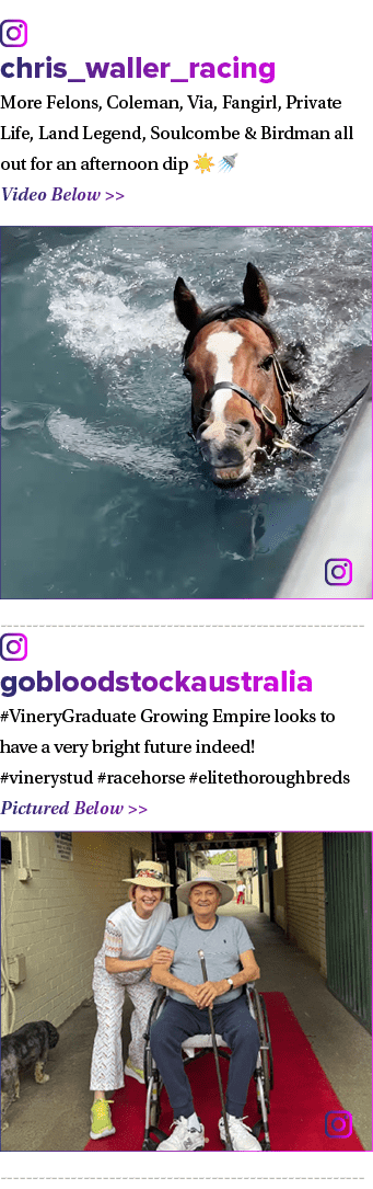 ￼ chris_waller_racing More Felons, Coleman, Via, Fangirl, Private Life, Land Legend, Soulcombe & Birdman all out for ...