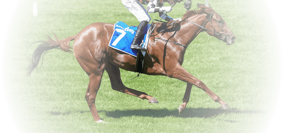 Military Tycoon ridden by Thomas Stockdale wins the Darley Ottawa Stakes at Flemington Racecourse on March 08, 2025 in Flemington, Australia. (Photo by Scott Barbour/Racing Photos)