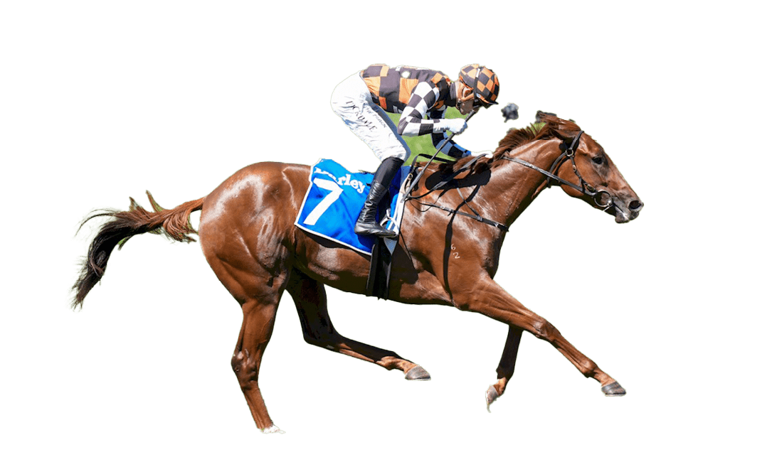 Military Tycoon ridden by Thomas Stockdale wins the Darley Ottawa Stakes at Flemington Racecourse on March 08, 2025 in Flemington, Australia. (Photo by Scott Barbour/Racing Photos)