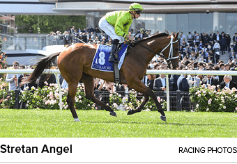 Stretan Angel racing photo