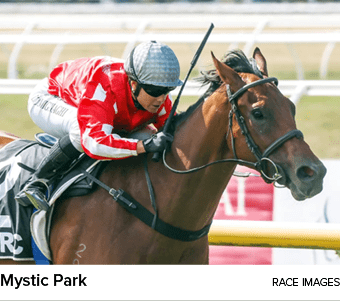 Mystic Park Race Image