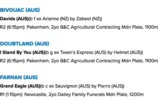 Bivouac (AUS) Davida (AUS)(b f ex Arianne (NZ) by Zabeel (NZ)) R2 (6:15pm): Pakenham, 2yo B&C Agricultural Contractin...