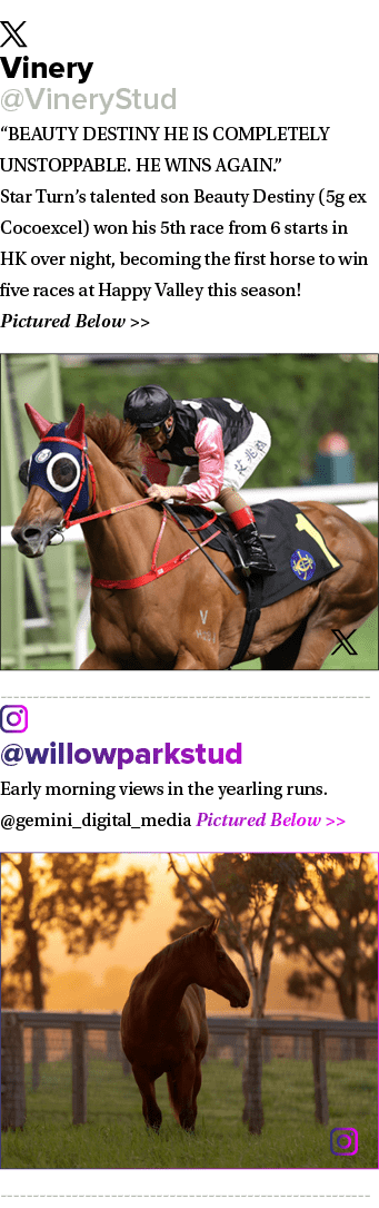 ￼ Vinery @VineryStud “BEAUTY DESTINY HE IS COMPLETELY UNSTOPPABLE. HE WINS AGAIN.” Star Turn’s talented son Beauty De...