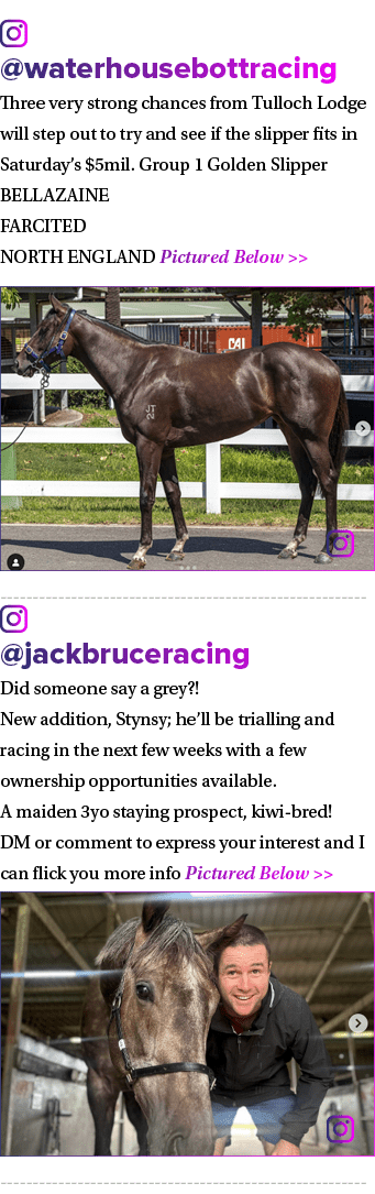 ￼ @waterhousebottracing Three very strong chances from Tulloch Lodge will step out to try and see if the slipper fits...