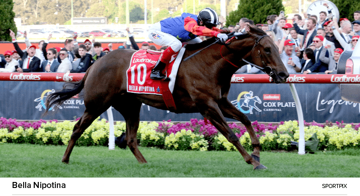 Bella Nipotina sportpi