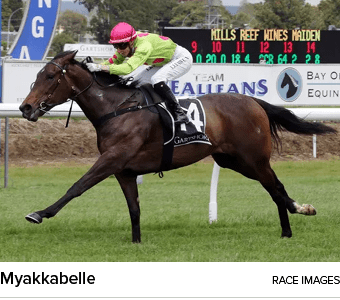 Myakkabelle race image