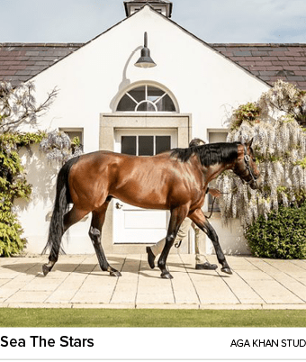 Sea The Stars aga khan stu