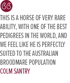 This is a horse of very rare ability, with one of the best pedigrees in the world, and we feel like he is perfectly s...