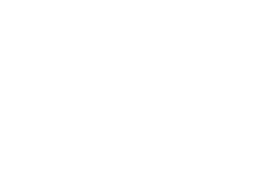 ‘Generational type horse’ 