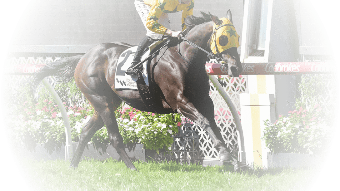 Shanwah (NZ) ridden by Ethan Brown wins the DCE Alister Clark Stakes at Moonee Valley Racecourse on March 22, 2025 in Moonee Ponds, Australia. (Photo by Pat Scala/Racing Photos)