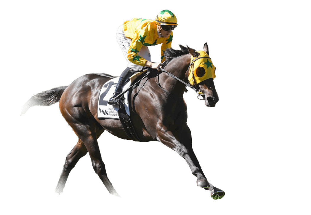 Shanwah (NZ) ridden by Ethan Brown wins the DCE Alister Clark Stakes at Moonee Valley Racecourse on March 22, 2025 in Moonee Ponds, Australia. (Photo by Pat Scala/Racing Photos)