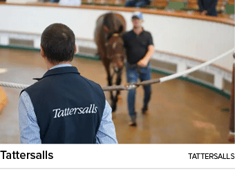Tattersalls tattersall