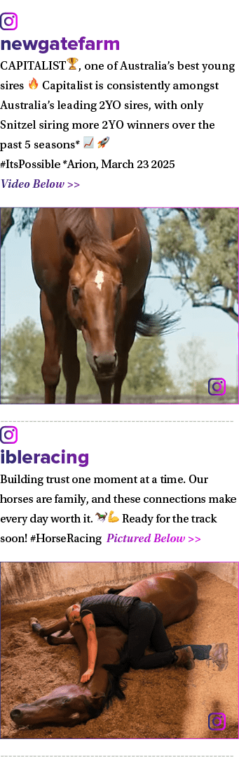 ￼ newgatefarm CAPITALIST🏆, one of Australia’s best young sires 🔥 Capitalist is consistently amongst Australia’s lea...