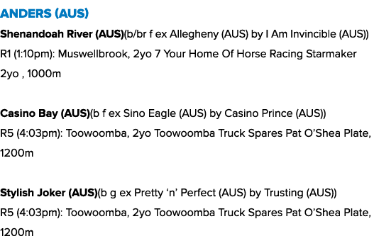 Anders (AUS) Shenandoah River (AUS)(b/br f ex Allegheny (AUS) by I Am Invincible (AUS)) R1 (1:10pm): Muswellbrook, 2y...