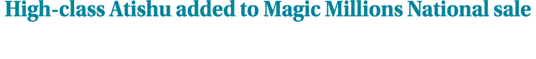 High class Atishu added to Magic Millions National sale
