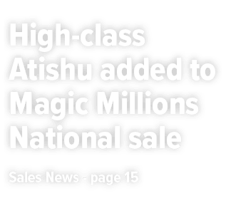 High class Atishu added to Magic Millions National sale Sales News page 15