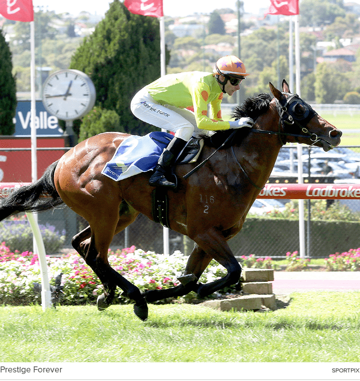 Prestige Forever sportpi