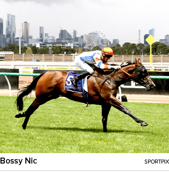 Bossy Nic sportpi
