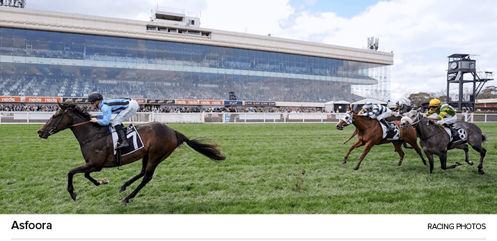 Asfoora racing photo