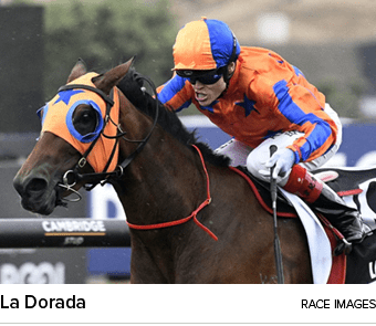 La Dorada Race Image