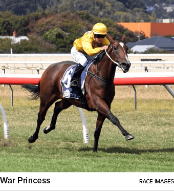 War Princess Race Image