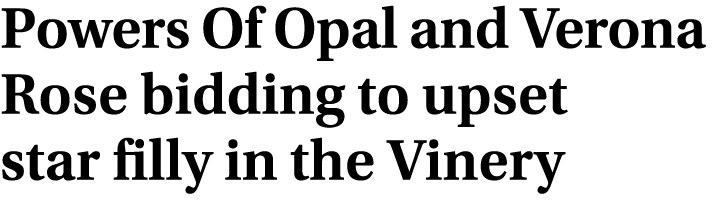 Powers Of Opal and Verona Rose bidding to upset star filly in the Vinery