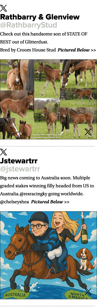 ￼ Rathbarry & Glenview @RathbarryStud Check out this handsome son of STATE OF REST out of Glitterdust. 🪩✨ Bred by Cr...