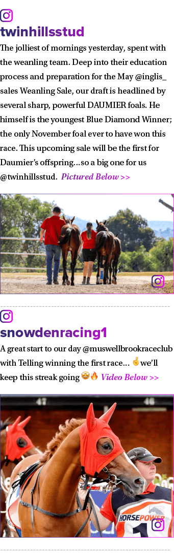 ￼ twinhillsstud The jolliest of mornings yesterday, spent with the weanling team. Deep into their education process a...