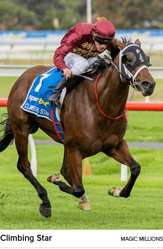 Climbing Star magic million