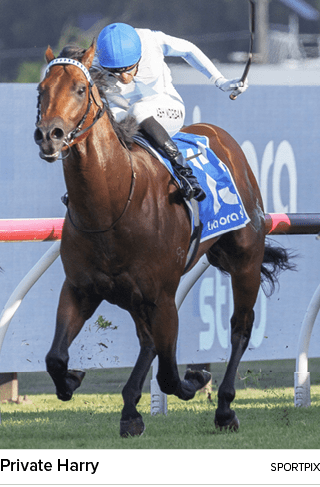 Private Harry sportpi