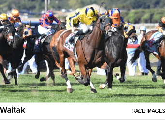 Waitak Race Image