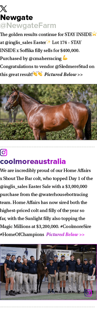 ￼ Newgate @NewgateFarm The golden results continue for STAY INSIDE⭐️ at @inglis_sales Easter✨ Lot 176 STAY INSIDE x S...