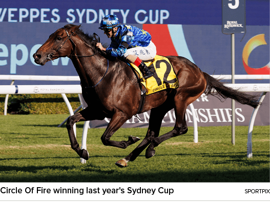 Circle Of Fire winning last year's Sydney Cup sportpi