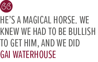 He’s a magical horse. We knew we had to be bullish to get him, and we did Gai Waterhous