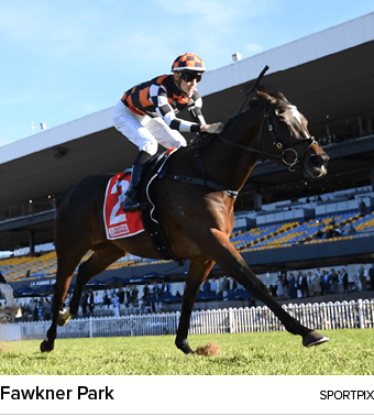 Fawkner Park sportpi