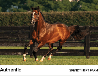 Authentic spendthrift far