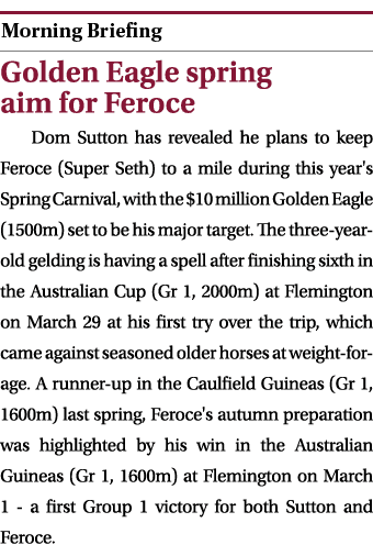  ￼ Golden Eagle spring aim for Feroce Dom Sutton has revealed he plans to keep Feroce (Super Seth) to a mile during t...