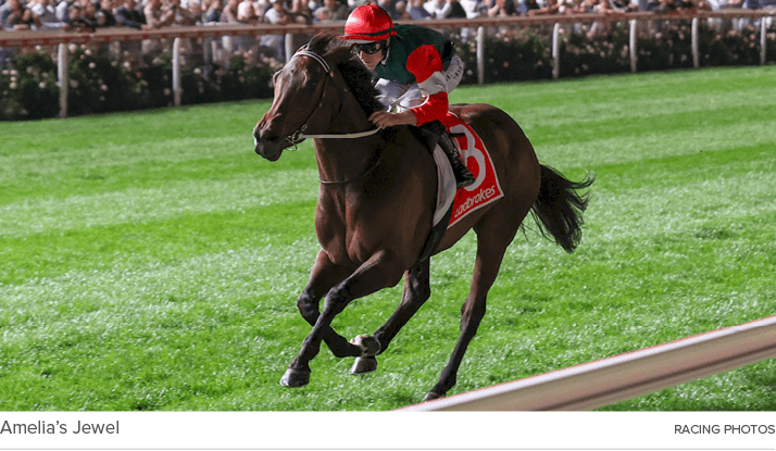 Amelia’s Jewel Racing Photo