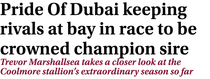 Pride Of Dubai keeping rivals at bay in race to be crowned champion sire Trevor Marshallsea takes a closer look at th...