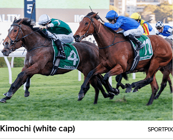 Kimochi (white cap) sportpi