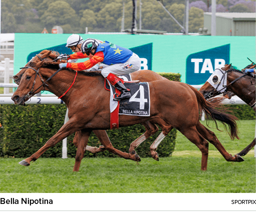 Bella Nipotina Sportpi