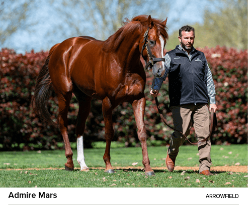 Admire Mars Arrowfiel