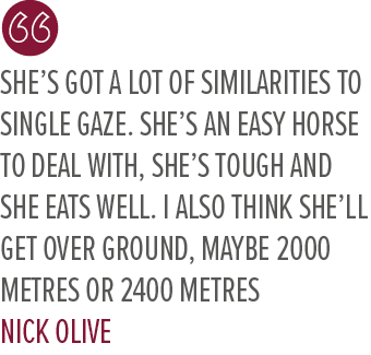 She’s got a lot of similarities to Single Gaze. She’s an easy horse to deal with, she’s tough and she eats well. I al...