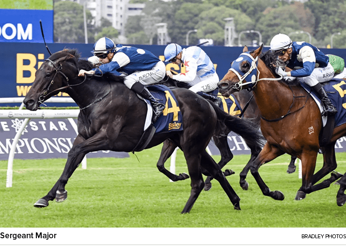 Sergeant Major Bradley photo