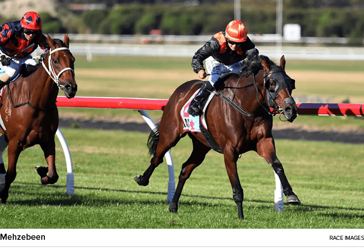 Mehzebeen race image