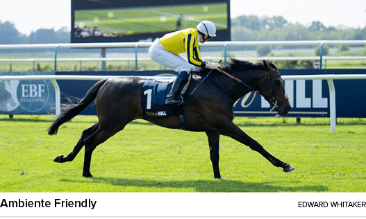 Ambiente Friendly Edward Whitake