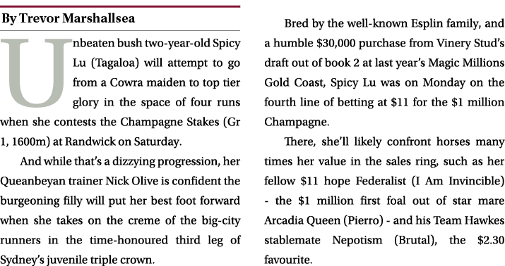 ￼ Unbeaten bush two year old Spicy Lu (Tagaloa) will attempt to go from a Cowra maiden to top tier glory in the space...