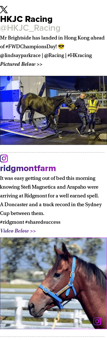 ￼ HKJC Racing @HKJC_Racing Mr Brightside has landed in Hong Kong ahead of #FWDChampionsDay! 😎 @lindsayparkrace | @Ra...