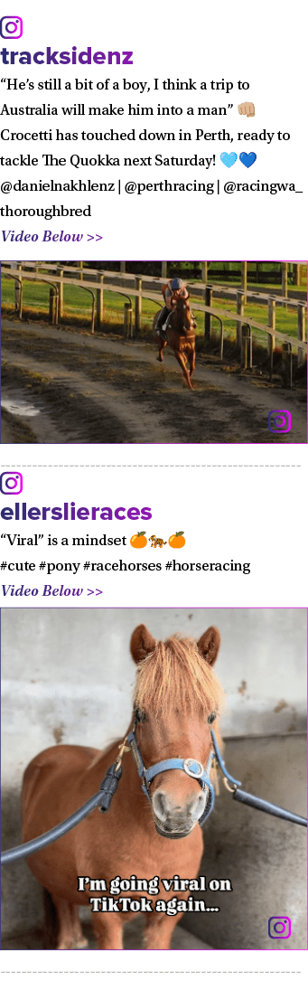 ￼ tracksidenz “He’s still a bit of a boy, I think a trip to Australia will make him into a man” 👊🏼 Crocetti has tou...